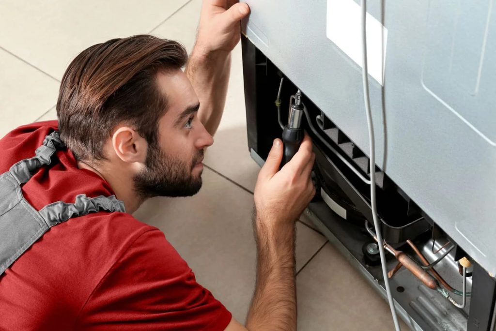 wp-x-image-banner-3-1024x683-2-11zon